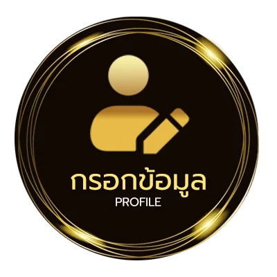 โปรไฟล์ เน็ตทรู5บาท24ชั่วโมง